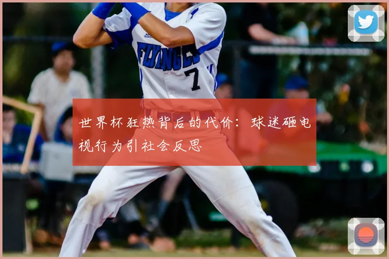 世界杯狂热背后的代价:球迷砸电视行为引社会反思