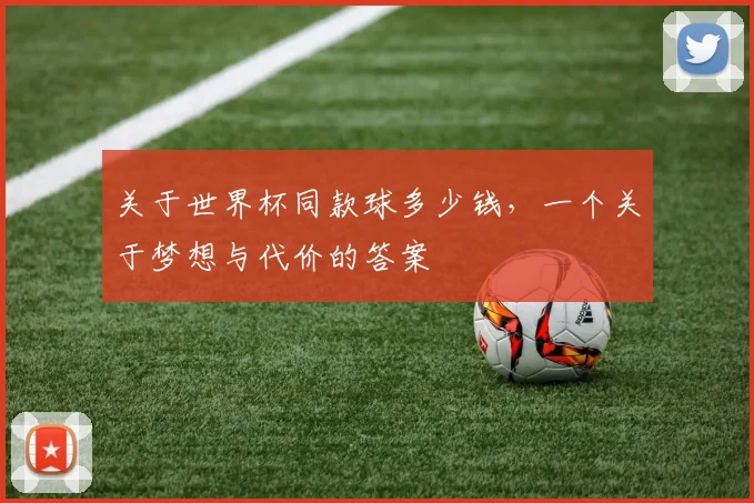 关于世界杯同款球多少钱，一个关于梦想与代价的答案