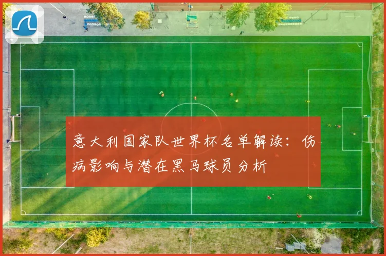 意大利国家队世界杯名单解读:伤病影响与潜在黑马球员分析