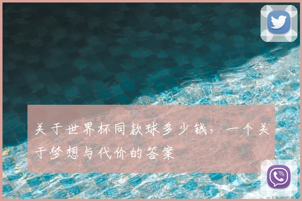 关于世界杯同款球多少钱，一个关于梦想与代价的答案